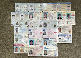 Novelty Driver's License