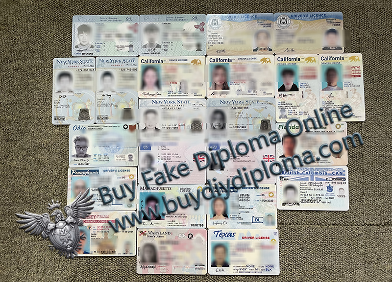 Novelty Driver's License