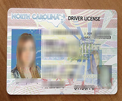 Get Novelty North Carolina Driver's License