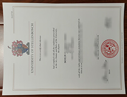 Stellenbosch University Qualification