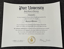 Pace University Qualification
