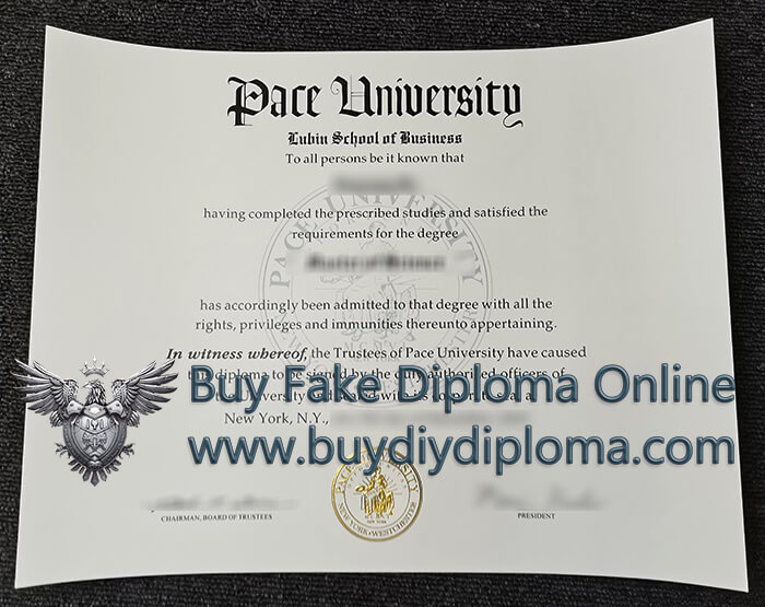  Pace University Qualification