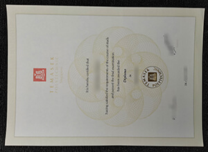 Temasek Polytechnic Qualification