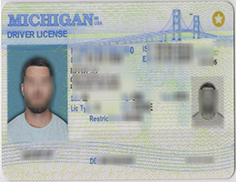 Novelty michigan driver's license