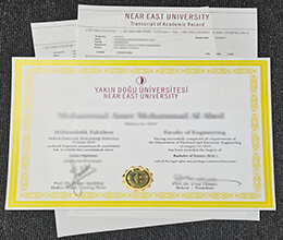 Yakın Doğu Üniversitesi Qualification