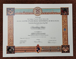 Università Di Bologna Credentials