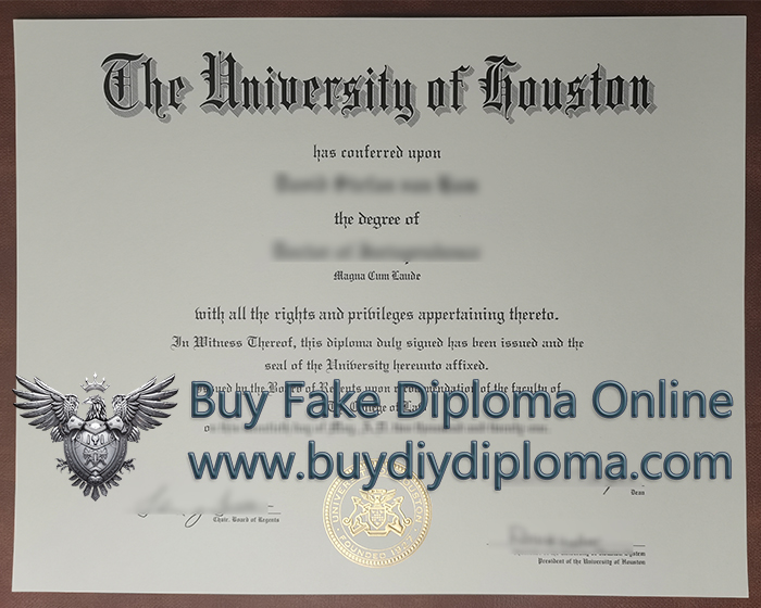 University of Houston Credentials 