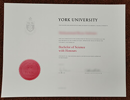 York University Bachelor's Qualification