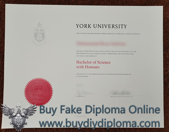 York University Bachelor's Qualification