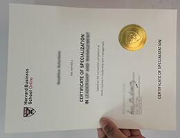 HBS Online Credentials