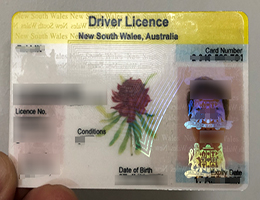 New South Wales Driver Licence