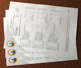 University of Kuala Lumpur Academic record sample