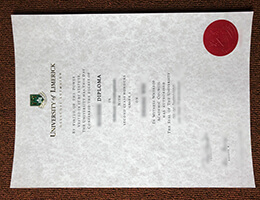 University of Limerick Credentials