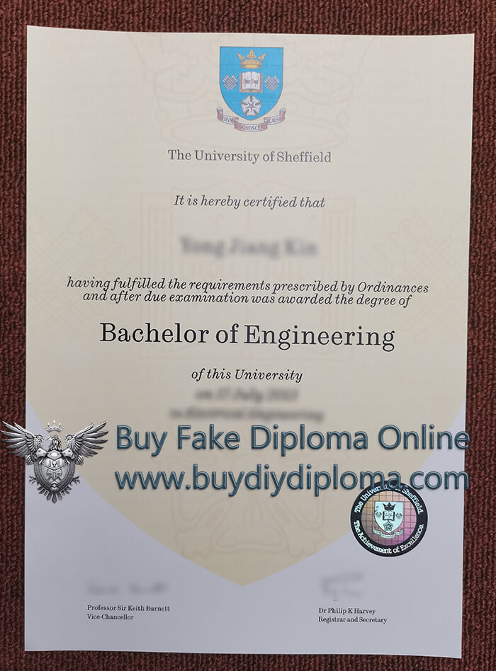 University of Sheffield Qualification 