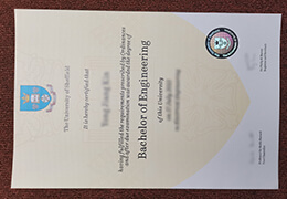 University of Sheffield Qualification