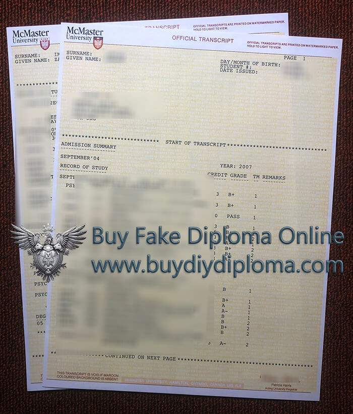 McMaster University Academic record