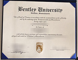 Bentley University Credentials