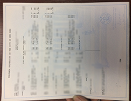 Columbia University in the City of New York Academic record