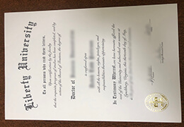 Liberty University Credentials
