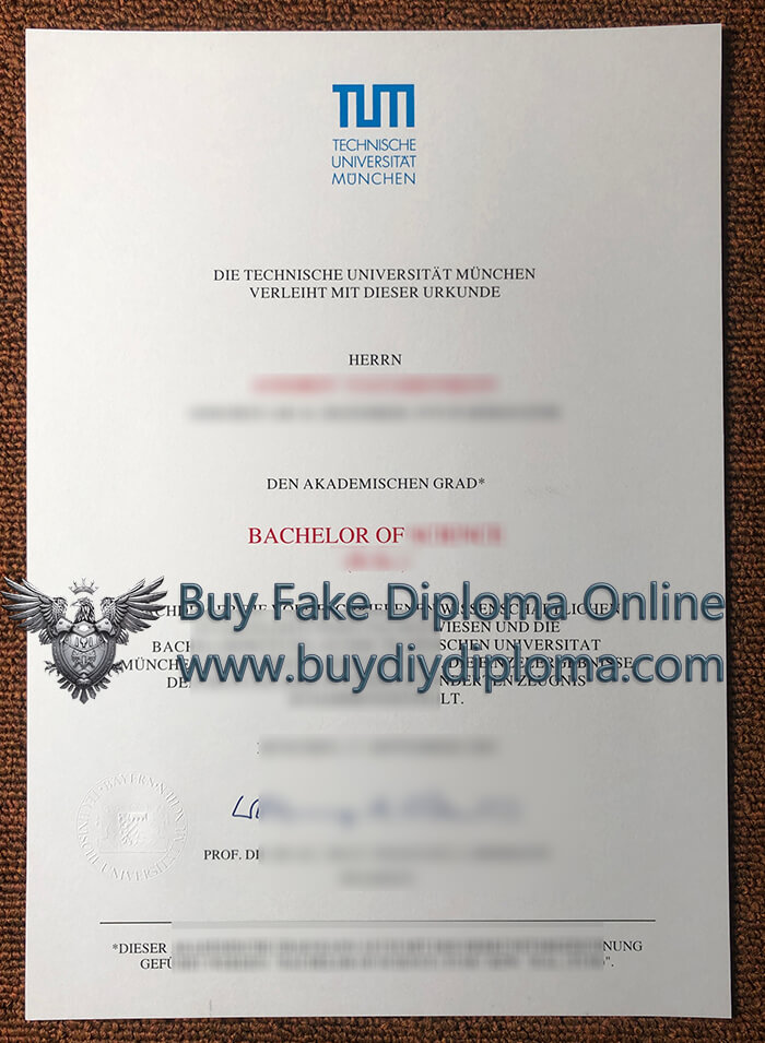 Technical University of Munich bachelor's Credentials