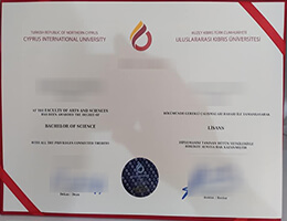 Uluslararası Kıbrıs Üniversitesi Credentials Credentials