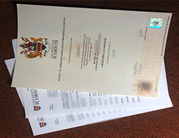 University of Plymouth Qualification and Academic record