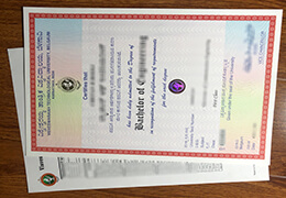 Visvesvaraya Technological University Qualification