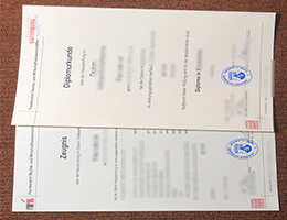 Johannes Gutenberg-Universität Mainz diplomurkunde