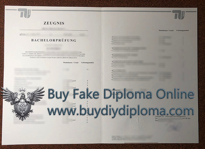 TU Berlin Academic record TU Berlin Academic record