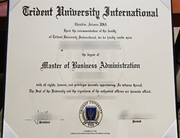 Trident University International Credentials Credentials