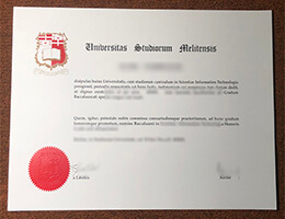University of Malta Qualification