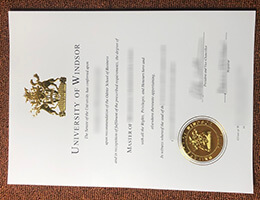 University of Windsor Qualification