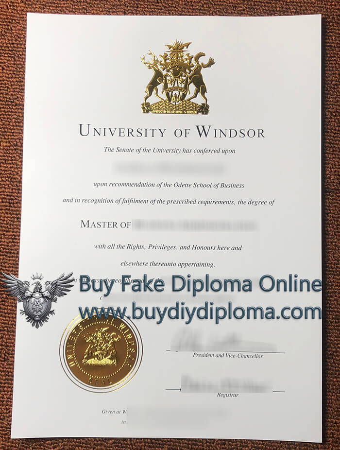 University of Windsor Qualification