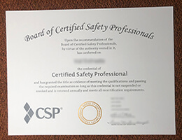 CSP Credentials