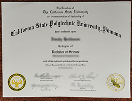 Cal Poly Pomona Qualification Credentials