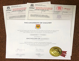 University of Calgary Qualification with Academic record
