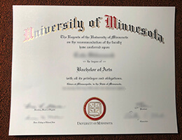 University of Minnesota Bachelor of Arts Credentials