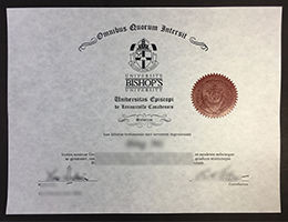 Bishop's University Qualification