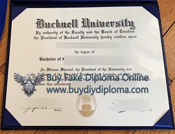 Bucknell University Credentials
