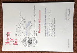 University of Pune Qualification