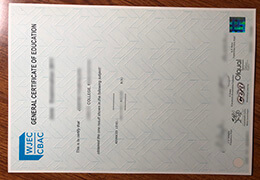 WJEC CBAC GCE A Level Credentials