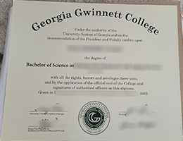 Georgia Gwinnett College Credentials