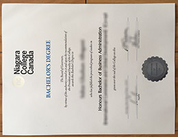 Niagara College Qualification Credentials
