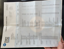 Niagara College Academic record