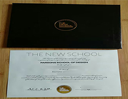 The New School Qualification