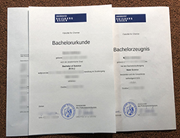 Universität Duisburg-Essen Credentials with Academic record