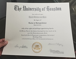 University of Houston Doctor Credentials