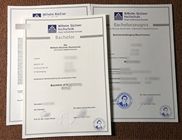 Wilhelm-Buchner-Hochschule-Credentials-with-Academic record