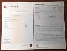 Cambridge IGCSE Credentials with Academic record