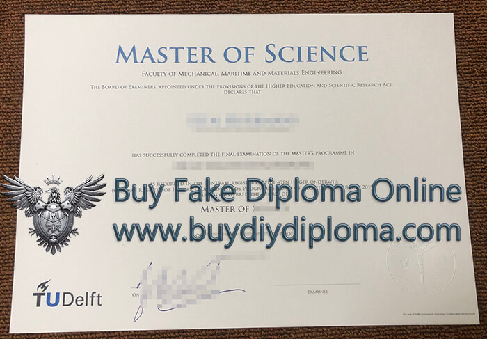 Delft University of Technology Qualification